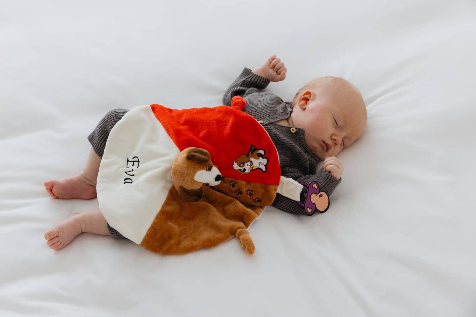 Doudou Saint-Bernard