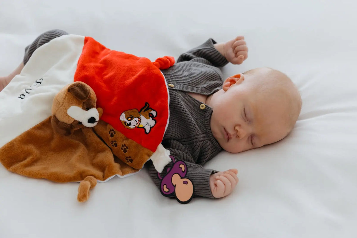 Doudou Saint-Bernard